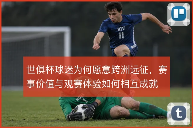 世俱杯球迷为何愿意跨洲远征,赛事价值与观赛体验如何相互成就